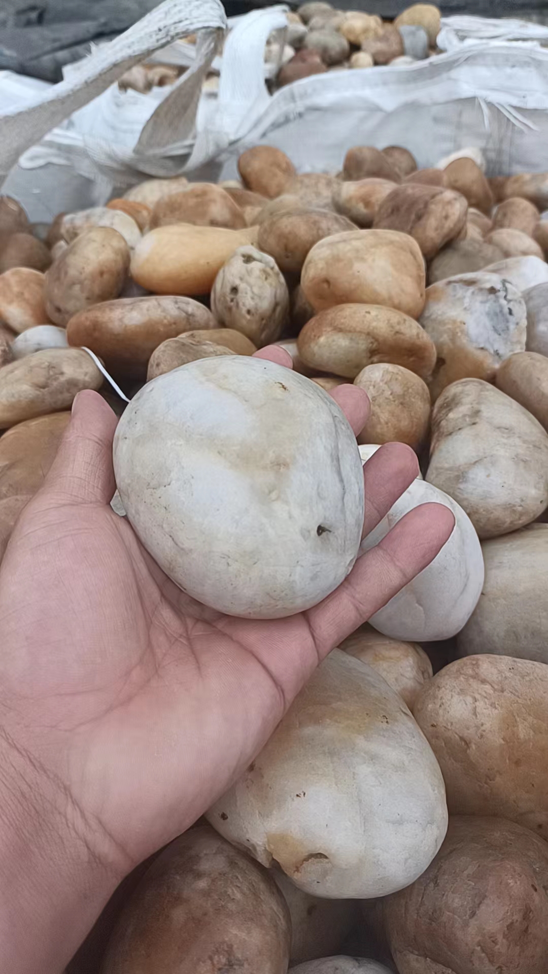 咸宁鹅卵石